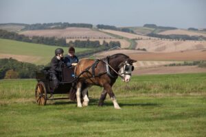 Drummer on the downs